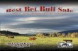 Ian & Anja MitchellIan & Anja Mitchell Leanna & Thompson Barriere, BC 250-672-9309 250-318-8539 Cell ian@mitchellcattle.com Welcome to our 12th Annual Best Bet Bull Sale. We would