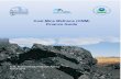 19january2017snapshot.epa.gov€¦ · Coal Mine Methane (CMM) Finance Guide United States Environmental Protection Agency O ff. ice of Air and Radiation 1200 Pennsylvania Avenue,