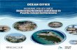 OCEAN CITIES - ESCAP Cities Policy Guide_300519.pdfprocesses in Pacic island developing States, the guide recognizes the important links between the impacts of urban growth and development,
