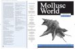 Mollusc - Conchological Society of Great Britain & Ireland · 2012-03-05 · Mollusc World ISSUE No.19 MArCH 2009 THE MAgAzINE oF THE CoNCHoLogICAL SoCIETY oF grEAT BrITAIN & IrELAND