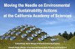 Moving the Needle on Environmental Sustainability Actions ... · Moving the Needle on Environmental Sustainability Actions at the California Academy of Sciences . addressing our grand