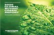 EXECUTIVE SUMMARY 2020 GLOBAL BUYING GREEN REPORT · 2020 GLOBAL BUYING GREEN REPORT Momentum builds for sustainable packaging. EXECUTIVE SUMMARY. 2 ACKAGING Consumers are making