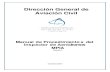 Dirección General de Aviación Civil · recomendaciones del Doc. 9774 de la OACI “Manual de Certificación de Aeródromos” y del Doc. 9981 Procedimientos para los servicios de