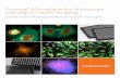 Corning Microplates for Microscopy and High Content Imaging ·  · 2018-01-244 Corning High Content Screening Solutions for Cell-based Assays Polystyrene Microplates for Microscopy