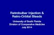 Retrobulbar Injection & Retro-Orbital BleedsRetro-Orbital Injection (ROI) •Retro-orbital injection allows multiple injections (must alternate eyes) and causes minimal distress if