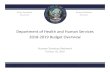 Department of Health and Human Services 2018‐2019 Budget ...adsd.nv.gov/uploadedFiles/adsdnvgov/content/Boards... · Human Services Network October 26, 2016 Department of Health