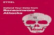 Defend Your Data from Ransomware Attacksdiscover.zyxel.com/rs/471-TTL-126/images/Ransomware...Defend Your Data from Ransomware Attacks The Threat of Ransomware The WannaCry attack
