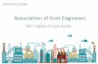 Association of Cost Engineers - Solomons Europe€¦ · Association of Cost Engineers NEC: Option C Cost Audits. NEC Option C Cost Audits • NEC Audit Provisions • NEC Payment
