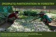 (PEOPLE’S) PARTICIPATION IN FORESTRY...Australia 89.91 83.3 0 9.1 20.87 12.11 18.06 20.24 Bhutan 2.6 2.65 0 0.08 0 0 0 0 ... Community Forest production Community forestry user group