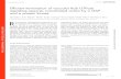 Efﬁ cient termination of vacuolar Rab GTPase …depts.washington.edu/sfields/pdf/brett_jbc.pdfR ab guanosine triphosphatases (GTPases) are piv-otal regulators of membrane identity