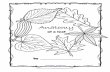 Anatomy - Hubbard's Cupboardfiles.hubbardscupboard.org/Anatomy_of _a_Leaf_Booklet.pdfAnatomy of a Leaf from  © 2017. compound leaf simple leaf