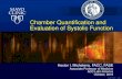 Chamber Quantification and Evaluation of Systolic Function/media/Non-Clinical/Files-PDFs... · Lang RM et al. Recommendations for Cardiac Chamber Quantification by Echocardiography