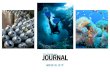 MEDIA KIT - PADI€¦ · MEDIA KIT. 2 THEUNDERSEA JOURNAL MEDIAKIT The Undersea Journal is the key communication vehicle to PADI Professionals and business members worldwide – the