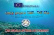 Project financed by the European Union - Erasmus + Programme …scoalaluciangrigorescu.ro/wp-content/uploads/2018/09/THE-WORLD … · Project financed by the European Union - Erasmus