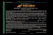 SMART Global Holdings, Inc. Ordinary Shares The information in … · 2017-05-12 · SMART Global Holdings, Inc. Ordinary Shares This is the initial public offering of ordinary shares