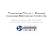 Tennessee Efforts to Prevent Neonatal Abstinence Syndrome Tennessee Efforts to Prevent Neonatal Abstinence