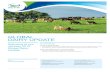 GLOBAL DAIRY UPDATE - Dairy Farmer€¦ · GLOBAL DAIRY UPDATE Welcome to our January 2015 Global Dairy Update IN THIS EDITION Fonterra milk collection • New Zealand 3% higher in
