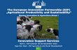 The European Innovation Partnership (EIP) „Agricultural ... · Inge Van Oost - DG Agriculture and Rural Development . 1. Innovation Support Services The basics "The EIP aims at