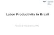 Labor Productivity in Brazil - OECD€¦ · Labor Productivity in Brazil Fernando de Holanda Barbosa Filho ... BRA CHL CHN COL MEX PER RUS Fonte: Elaboração própria com dados da