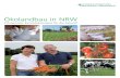 Ökolandbau in NRW€¦ · Bio-Absatzmarkt Europas und dieser Markt wächst seit Jahren teilweise zweistellig. Weil die deutschen Erzeuger von Bioprodukten die Absatzmengen zum Teil