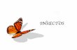 INSECTOS - artescolegioingles.files.wordpress.com · INSECTOS. Page 2 Esta semana estará dedicada al mundo de los insectos…¿cómo son?, ¿de qué color?, ¿tienen ojos?, ¿antenas?,
