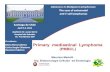 Primary mediastinal Lymphoma · Primary mediastinal Lymphoma (PMBCL) Disclosures Research(Support((instuon) (Mundipharma(Employee(9(Major(Stockholder(9(Speakers(Bureau(9(Speakers(Honoraria(Celgene,