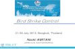 Bird Strike Control - International Civil Aviation ... Strike.… · Bird Strike Control. 01-04 July 2013, Bangkok, Thailand . Naoki AMITANI . JAPAN CIVIL AVIATION BUREAU . Bird Strike