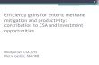 Efficiency gains for enteric methane mitigation and ...csa2015.cirad.fr/var/csa2015/storage/fckeditor/file/L3.3 Gerber-f.pdf · Efficiency gains for enteric methane mitigation and