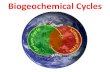 Biogeochemical Cycles€¦ · Biogeochemical Cycles ... Carbon (C) Cycle CO 2 glucose glucose glucose CO 2 CO 2 glucose glucose glucose •Human Contribution Carbon –Release excess
