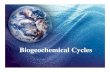 Biogeochemical Cycles - carlisle.k12.ky.us · Biogeochemical Cycles. Cycles We Will Study 1. Water Cycle 2 Carbon Cycle 3. Nitrogen Cycle 4. Phosphorus Cycle. Law of Conservation