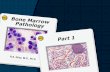 Bone Marrow Pathology Part 1 - UPaae€¦ · Bone Marrow Pathology. 1950 1975 History of Bone Marrow Diagnosis Light Microscopy Cytochemical Stains Karyotypic Analysis Flow Cytometry