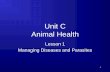 Unit C Animal Health C Lesson 1 Managing Diseases a… · Lesson 1 . Managing Diseases and Parasites . 1 . Terms . Biologics . Contagious . External parasites . Internal parasites