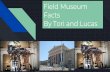 Field Museum Facts By Tori and Lucas - clark25.weebly.comclark25.weebly.com/uploads/1/3/1/8/13180697/the_field_museum_.pdf · History of the field museum The Field Museum it is originated