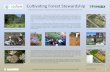 Cultivating Forest Stewardship - University of British ... · Cultivating Forest Stewardship Funded by the UBC Teaching and Learning Enhancement Fund 2011 Contact Dr. Steve Mitchell