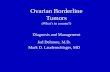 Ovarian Borderline Tumors - wesleyobgyn.com Bord… · of tumours of female reproductive organs. Lyon, IARC. Borderline Ovarian Tumors Subtypes • Serous • Mucinous • Endometrioid