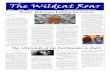 The Wildcat Roar - Montgomery County Public Schools€¦ · The Wildcat Roar Volume 6 Number 3 Winter 2010 A Quarterly Publication of Rocky Hill Middle School Rocky Hill Goes Fishing