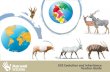 KS2 Evolution and Inheritance - Marwell Zoo€¦ · KS2 Evolution and Inheritance Trail This resource pack consists of both a teacher guide and a pupil booklet to support a trail