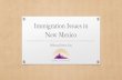 Immigration Issues in New Mexicoimmigrant •Immigrant entrepreneurs represent more than one in seven business owners in New Mexico •15,224 immigrant business owners accounted for