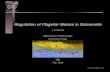 Regulation of Flagellar Motors in Salmonellakeener/lectures/flagella/length_control_MBI_16… · Regulation of Flagellar Motors in Salmonella J. P. Keener Department of Mathematics