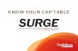 SURGE: Know Your Cap Table - fredlaw.com · • Most startups have option pools that are used for grants to service providers (i.e., employees, contractors, directors). • The option