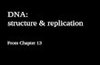 DNA: structure & replication - Mt. SAC and Protein...آ  2018-08-23آ  DNA: structure & replication .