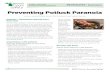 Preventing Potluck ParanoiaPreventing Potluck Paranoia . Author: Jeannie Nichols, Senior MSU Extension Food Safety Educator. Potlucks – Sometimes sharing more than food. Traditionally,