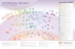 Small Molecules, Big Impact - Stemcell Technologies...Small Molecules for Cancer Research With demonstrated effects on survival, proliferation, migration, invasion or differentiation