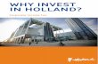 IN HOLLAND? WHY INVESTGuidelines for intercompany pricing are given by extensive policy based upon the arm's length principles for intercompany pricing as contained in the OECD model