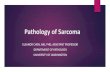 PATHOLOGY OF SARCOMA · 2018-10-13 · Summary • Sarcoma is a rare cancer that can occur anywhere in the body, but more frequently in the extremities, chest and abdomen. • Incidence