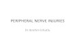 PERIPHERAL NERVE INJURIES - ibrahimerkutlu.comibrahimerkutlu.com/Files/files/dokumanlar/ders... · • Electrical injury – neural and soM Bssue injury • Irradiaon injury – Post