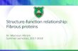 Structure-function relationship: Fibrous proteinsdoctor2017.jumedicine.com/wp-content/uploads/sites/... · Two important classes of proteins that have similar amino acid sequences