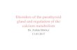 Disorders of the parathyroid gland - Semmelweis Egyetem€¦ · Disorders of the parathyroid gland and regulation of the calcium metabolism Dr. Zoltán Böröcz 13.03.2017. Anatomy.