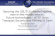 Securing the SSL/TLS channel against man-in-the-middle ... · Securing the SSL/TLS channel against man-in-the-middle attacks: Future technologies - HTTP Strict Transport Security