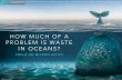 HOW MUCH OF A PROBLEM ISWASTE IN OCEANS?...HOW MUCH OF A PROBLEM ISWASTE IN OCEANS? PRESENTED BY CATHERINE LEHMANN , HANNE LYGREN , LEOPOLDINE MEAUZE, CAMILLE ROCHAT , AND ELODIE SCHOTT